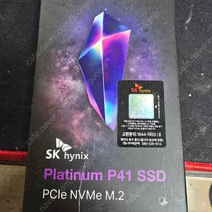 SK P41 1TB