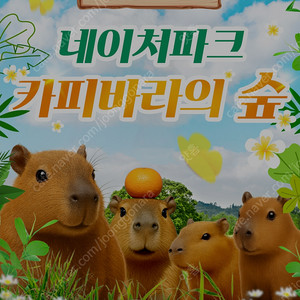 네이처파크 평일 주말 2인 종일권 15000원 판매 (대인 소인 다 가능)