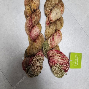 손염색실 두타래