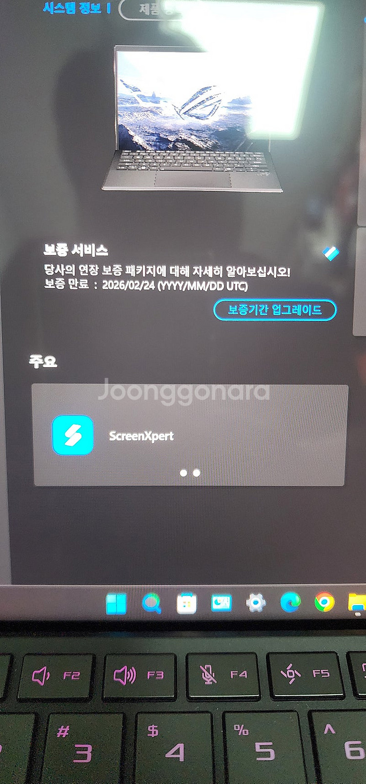 ASUS ROG FLOW Z13 2025 판매--3