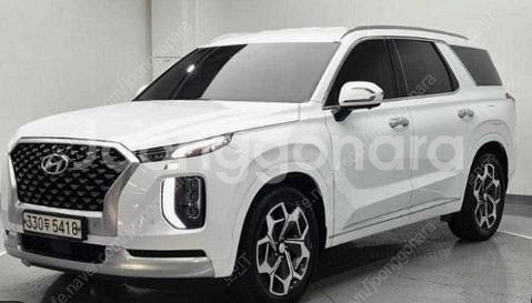 팰리세이드 코일매트. 팰리세이드VIP 코일매트--0