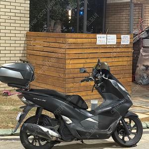 pcx 125 19년식 67000