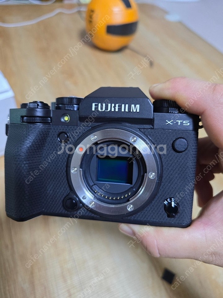 후지필름x-t5 탐론18 300--1