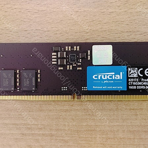 마이크론 Crucial DDR5-5600 CL46 (16GB) 팝니다