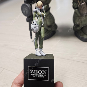 메가 사이즈 자쿠 도색작 사병 , 1/24 지온여성파일럿 사병 도색작 이미지