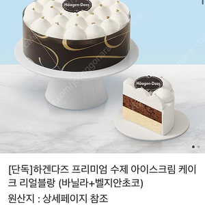 하겐다즈 프리미엄 수제 아이스크림 케이크 리얼 블랑
