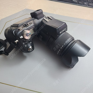 SONY 쏘니 DSC-F828 싸이버샷 카메라