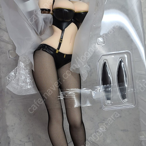 프링 벽람항로 워싱턴 노스캐롤라이나 개봉양품