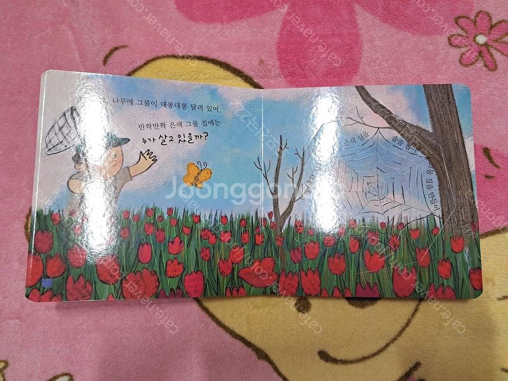 재능교육 수수께끼 동물그림책, 나의 첫 루크 두뇌조깅--6