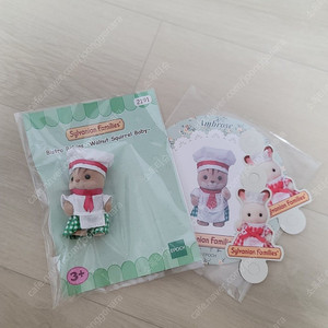 엔제리너스 실바니안 호두 다람쥐