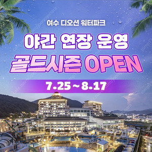 디오션 워터파크 종일권 팝니다