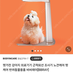비비레이 펫케어