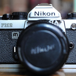 니콘FM2+MF50mm 1.4