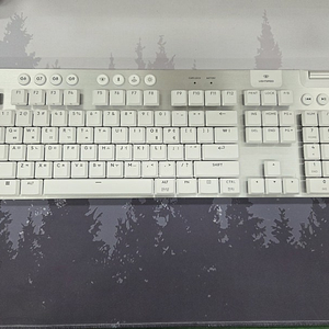 로지텍 G915 X LIGHTSPEED 텍타일(갈축)풀배열 (정품)