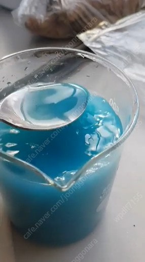과수,나무,유실수_가비온 보르도 1kg 석회 보르도액(...--4