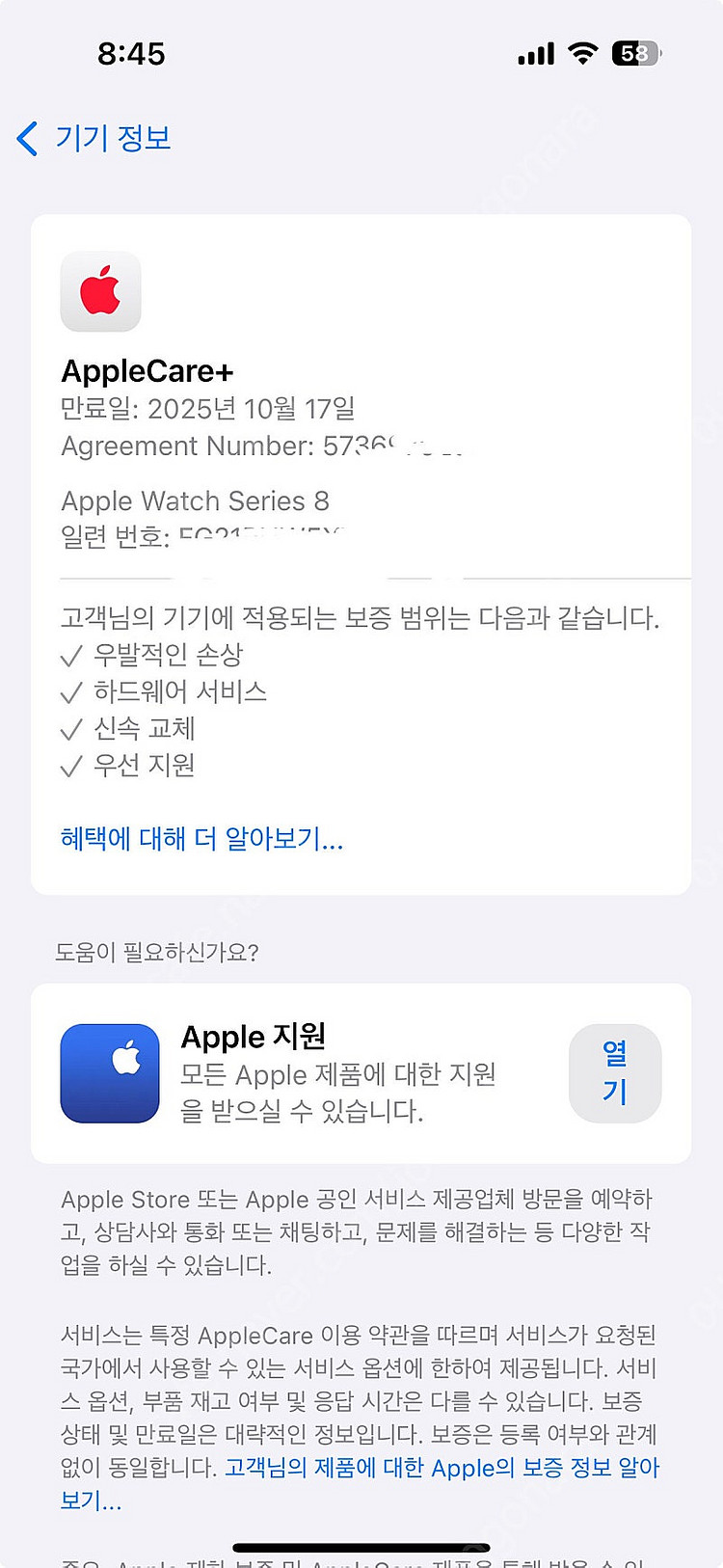 애플워치8 에르메스 45mm 실버--3