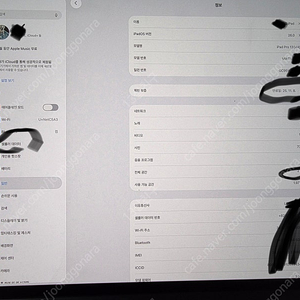 아이패드프로 M4 13셀룰러 2tb 스블 나노텍스처