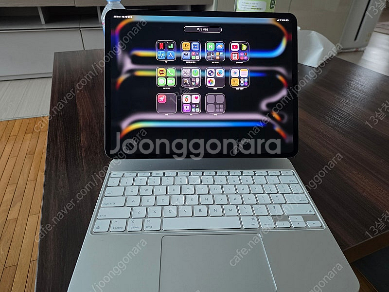 아이패드프로 M4 13셀룰러 2tb 스블 나노텍스처--8