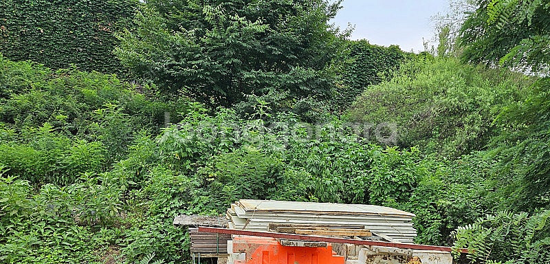중고 샌드위치 판넬 2500 50장--0