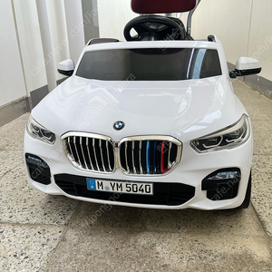 파파야나인 bmw 푸쉬카