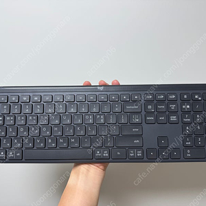 로지텍 k950 판매