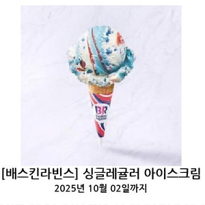 베스킨라빈스 싱글레귤러