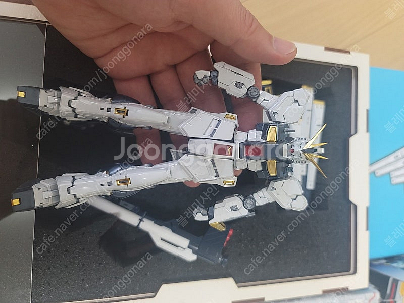 RG 뉴건담 티타늄 피니쉬, RG 후쿠오카 뉴건담--2