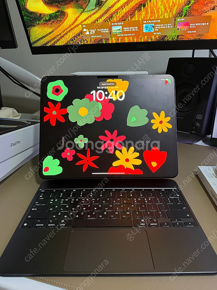 아이패드 프로 13 m4 256gb 셀룰러--1