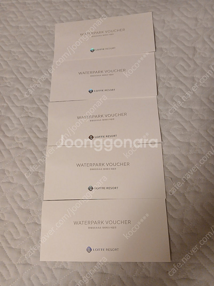 롯데 리조트 속초 워터파크 무료이용권--0