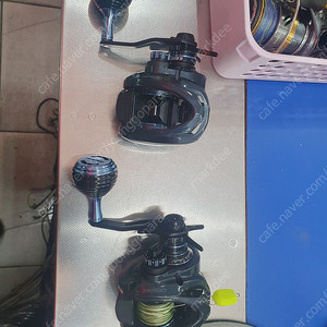 장구통릴 (선상릴/ 가물치릴)