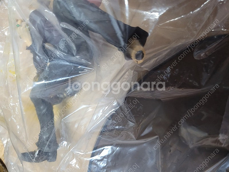 구반프 조형왕 정상결전 크로커다일 개봉이상품--3