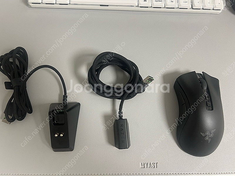 레이저 데스에더 V2 프로 게이밍 마우스 + 충전독(정...--0