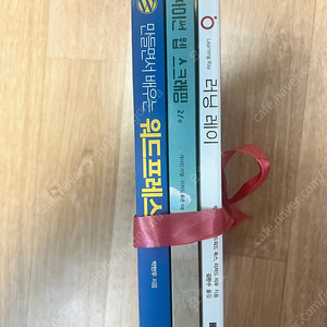 워드프레스, 파이썬, 웹 스크래핑, 분산 아키텍처, 레이, 러닝레이 관련책 판매합니다.