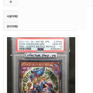 PSA 10, 2021 블랙매지션걸 러시(닌텐도 스위치 게임 초회생산 동봉 카드, 프리즈마틱 시크릿 레어)