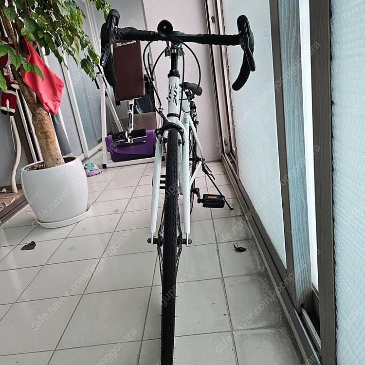 24도C 로드바이크 로드자전거 이미지