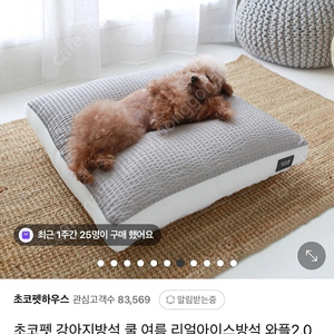 초코펫 아이스쿨 방석 판매해요