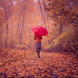 유율케이크사요