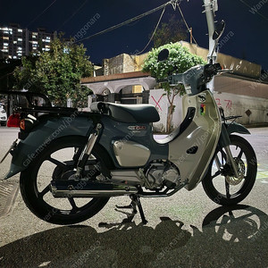슈퍼커브 펄 그레이 666km 24년식 HONDA 혼다 (짧은 키로수)