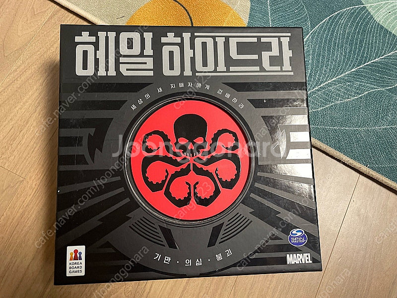 보드게임 카르카손 헤일하이드라--2
