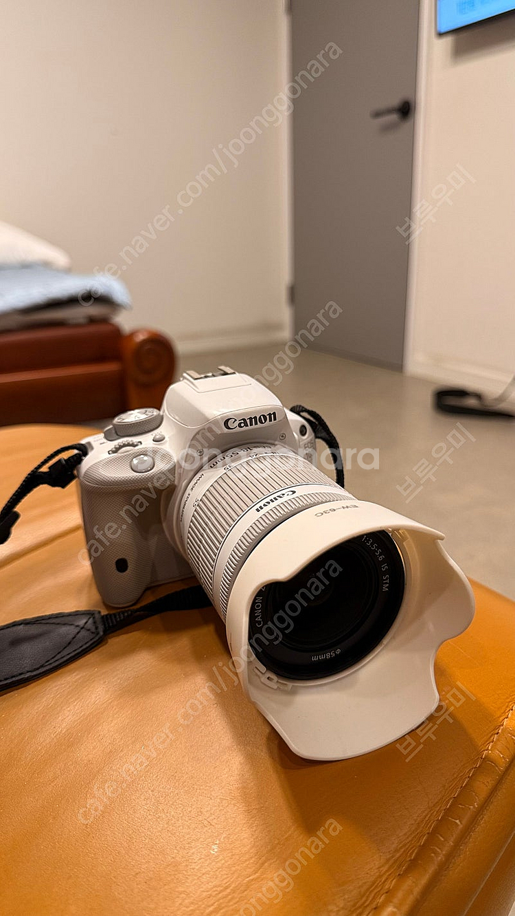 캐논 카메라 100d….. dslr,카메라 캐논 디지털...--0