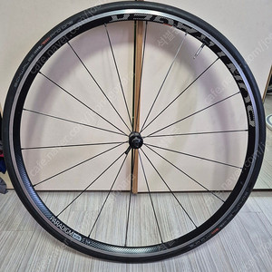 본트레거 패러다임 엘리트 trl