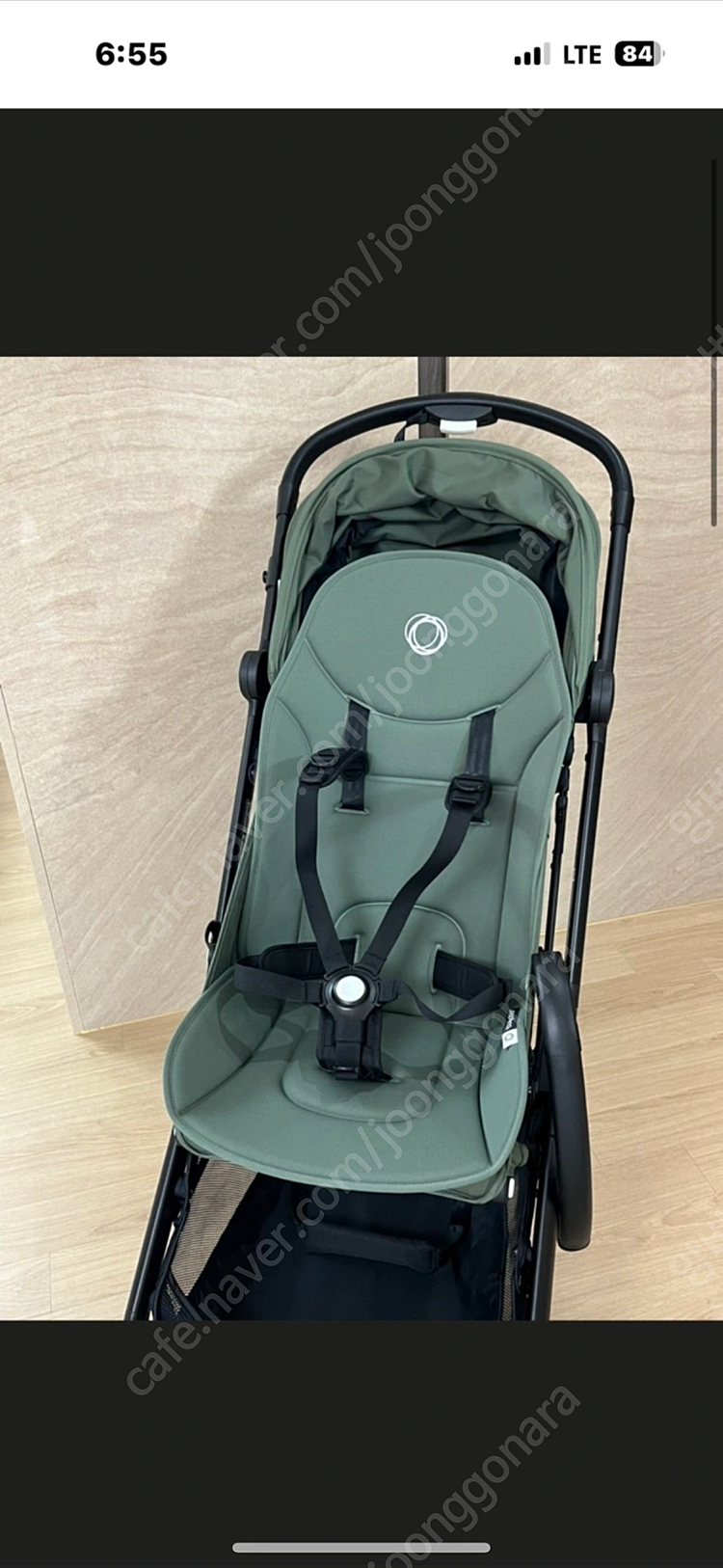 부가부버터플라이1포레스트그린--6