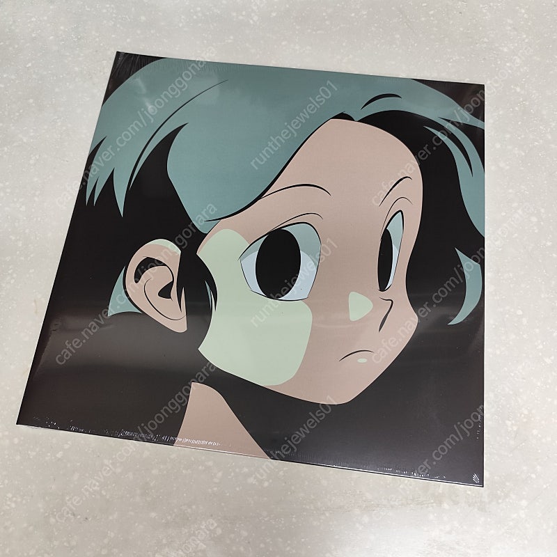 【新品未使用】ADOY レコード CATNIP【送料無料】 adoy LP 중고거래 | 중고나라 - 안심되는 중고거래