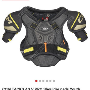 아이스하키 숄더