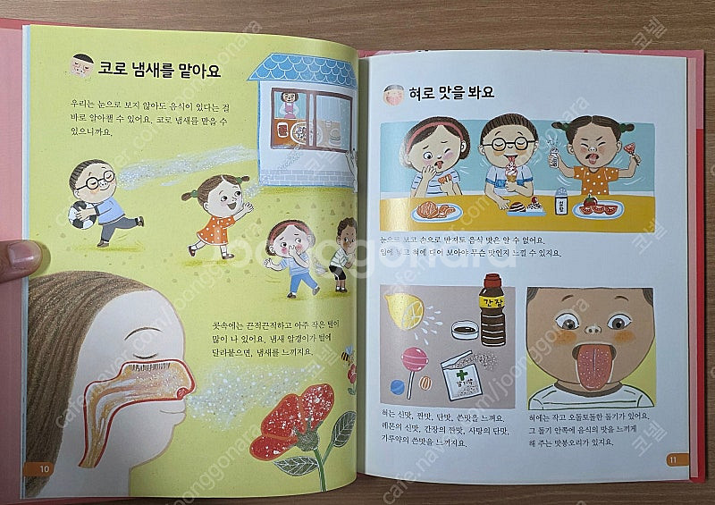 [웅진북클럽] 웅진호기심백과 큐 전집(50권)--5