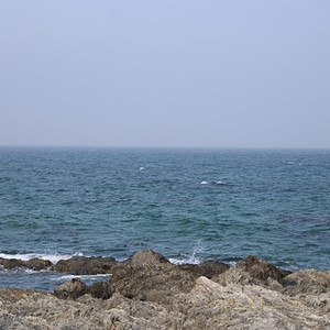 B9 A5 쿠페, 스포트백 모델 중통 엔드 구합니다.