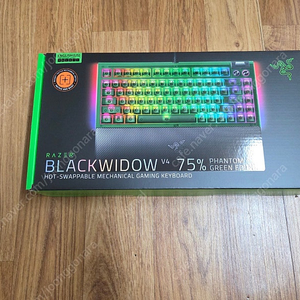레이저 블랙위도우 V4 75% Phantom Green Edition 미개봉