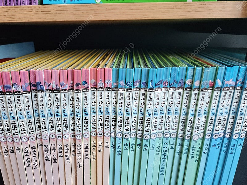 프뢰벨 생상다큐 자연관찰 50권 *택포*--1