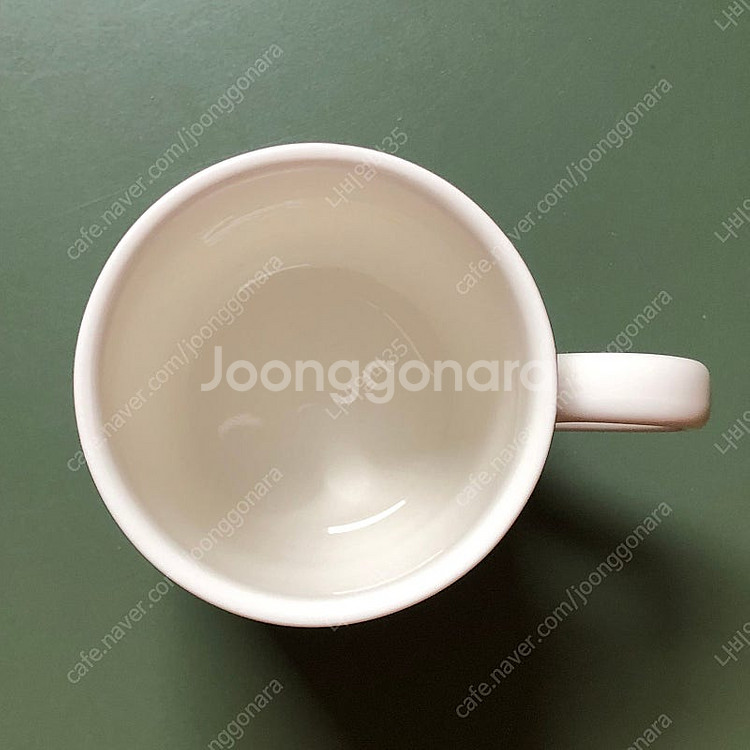 빌레로이 앤 보흐 보타니카 머그잔 (미사용)--5