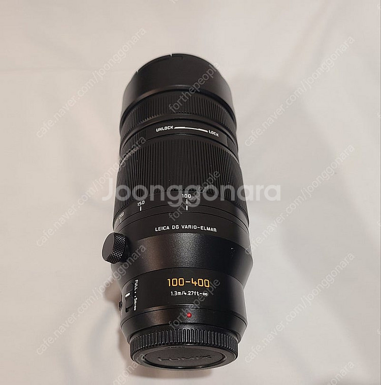 파나소닉 루믹스 100 400mm 라이카 렌즈--8